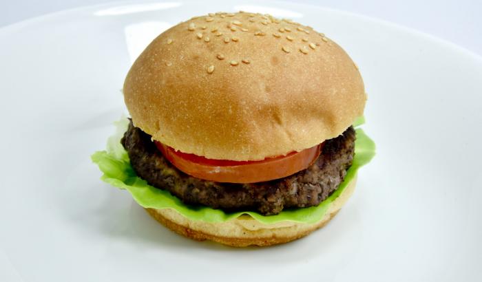 Hamburger-